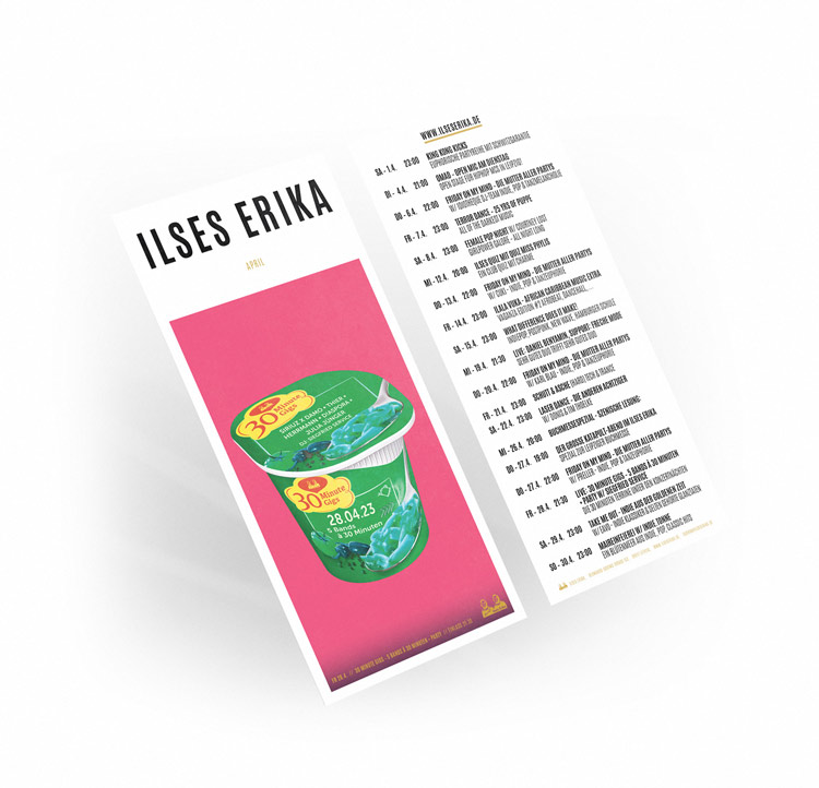 Ref-Flyer-IEMP1